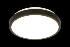 Anillo 30 cm taklampe 12W dimbar 3000 Kelvin