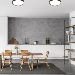 Anillo 30 cm taklampe 12W dimbar 3000 Kelvin