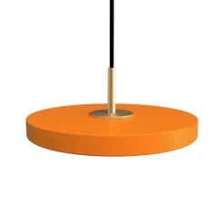 Asteria micro pendel