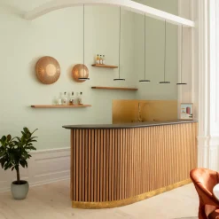 Asteria micro pendel