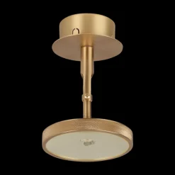 Asteria Spot for vegg og tak