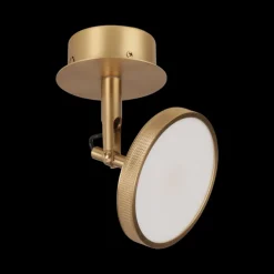 Asteria Spot for vegg og tak