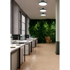 Asteria Up taklampe large