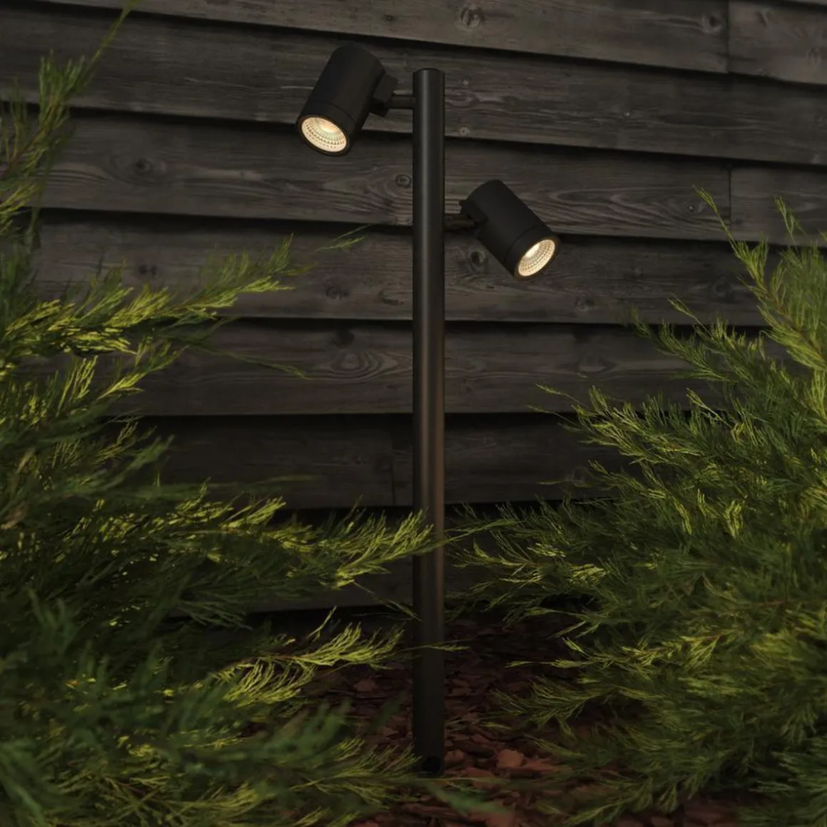 Bayville Spike Spot 900 Twin - Svart