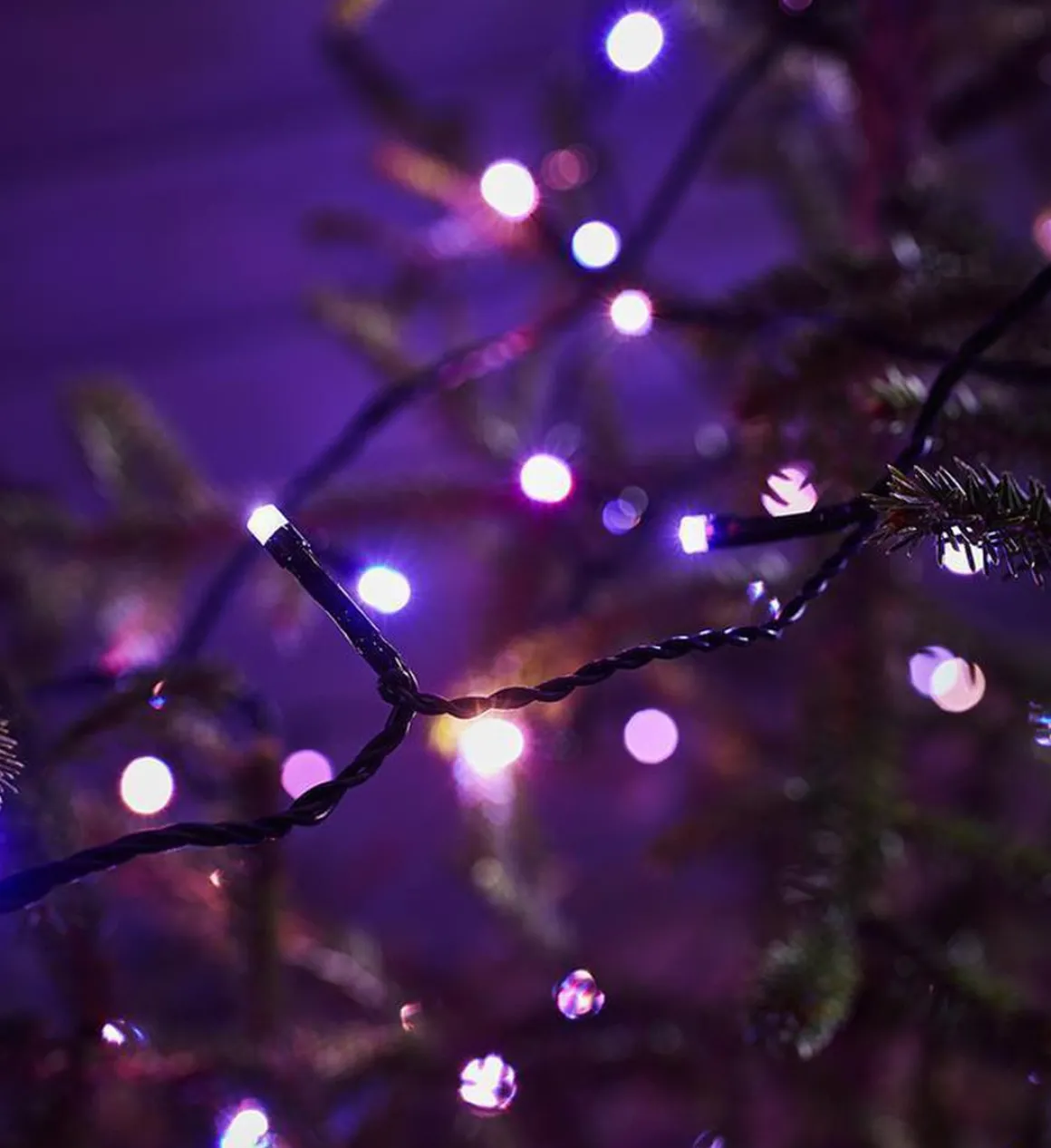 Choice lysslynge utendørs 20 meter IP44 m/fjernkontroll - Flerfarget - Svart