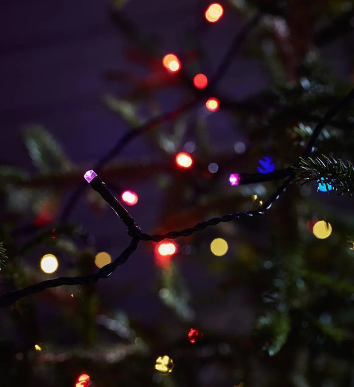 Choice lysslynge utendørs 20 meter IP44 m/fjernkontroll - Flerfarget - Svart