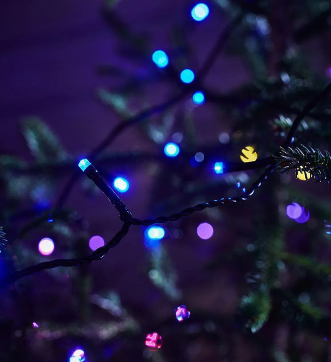 Choice lysslynge utendørs 20 meter IP44 m/fjernkontroll - Flerfarget - Svart