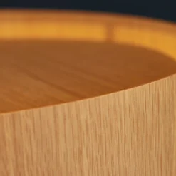 FM1954 takpendel 41 cm