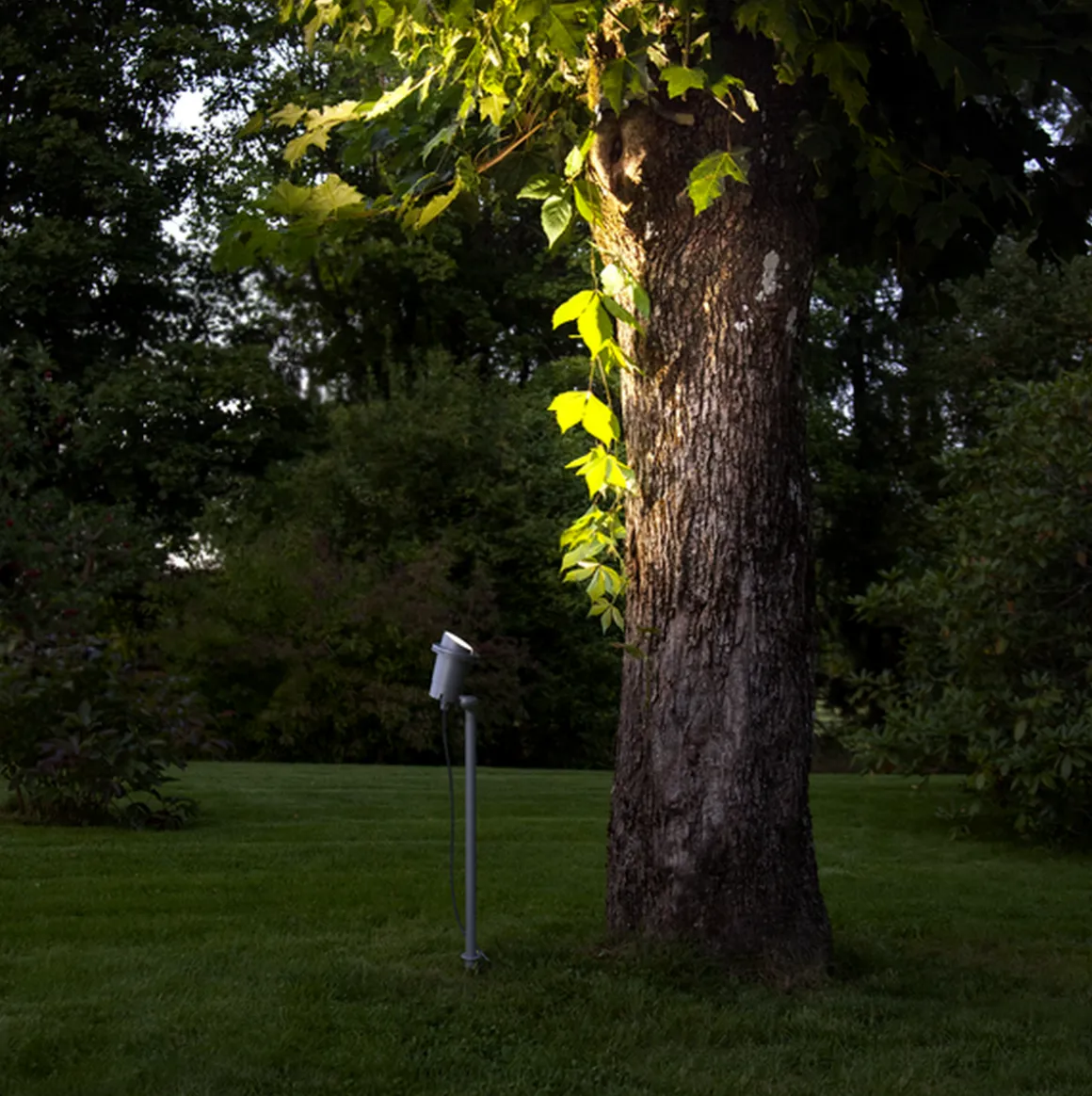 Focus uplight på spyd 67 cm utendørs GU10 IP44 - Svart