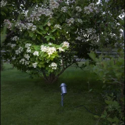 Focus uplight på spyd 30 cm utendørs GU10 IP44 - Svart