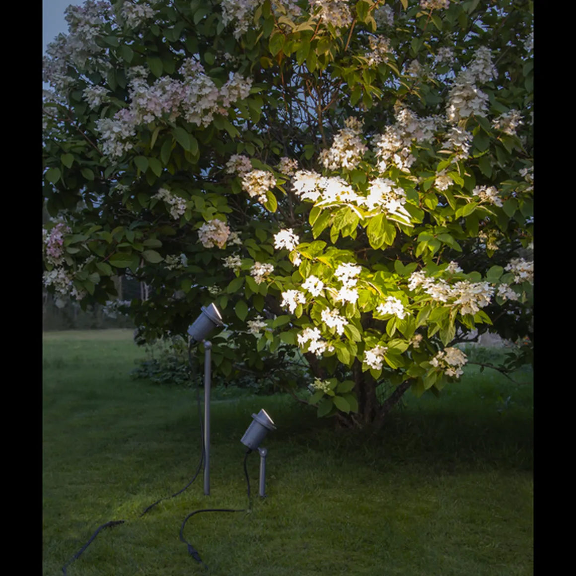 Focus uplight på spyd 30 cm utendørs GU10 IP44 - Svart