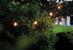 Garden Garland utendørs lysslynge 6 meter 10 lys IP65 startsett - Svart