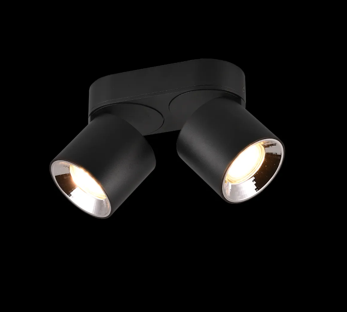 Guayana takspot 2-lys GU10 - Kan felles inn i tak