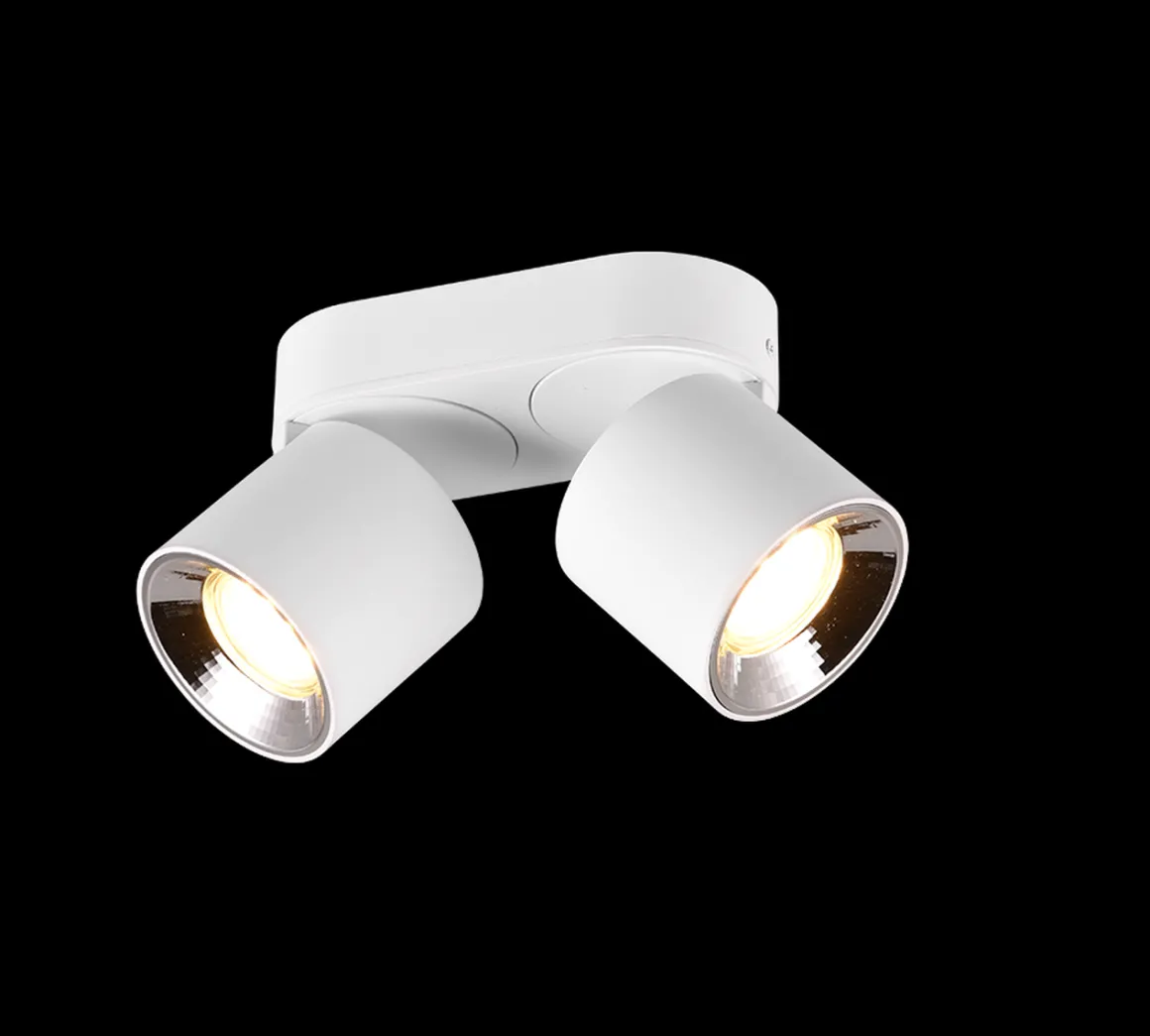 Guayana takspot 2-lys GU10 - Kan felles inn i tak