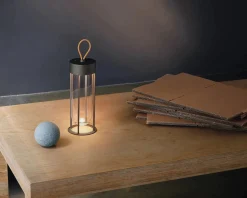 In Vitro unplugged oppladbar lampe