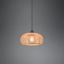 Inga takpendel 29 - Natur