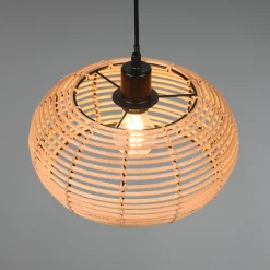 Inga takpendel 29 - Natur