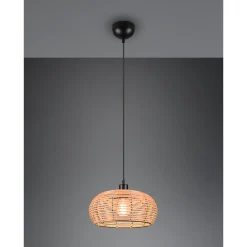 Inga takpendel 29 - Natur