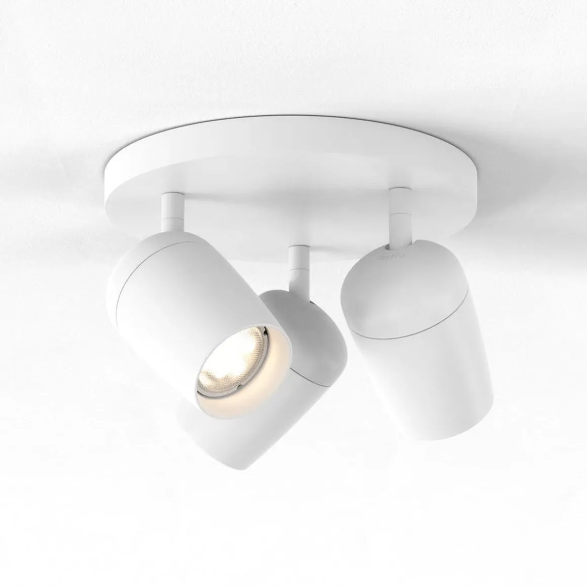 Koto triple round spot