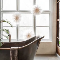 Lotus 44 julestjerne Hvit