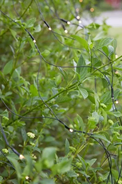 Lysnett 2x2m - Garden 24 - Svart