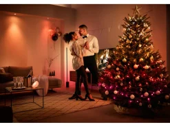 Philips Hue Festavia smart lyslenke 40 meter IP44 28W