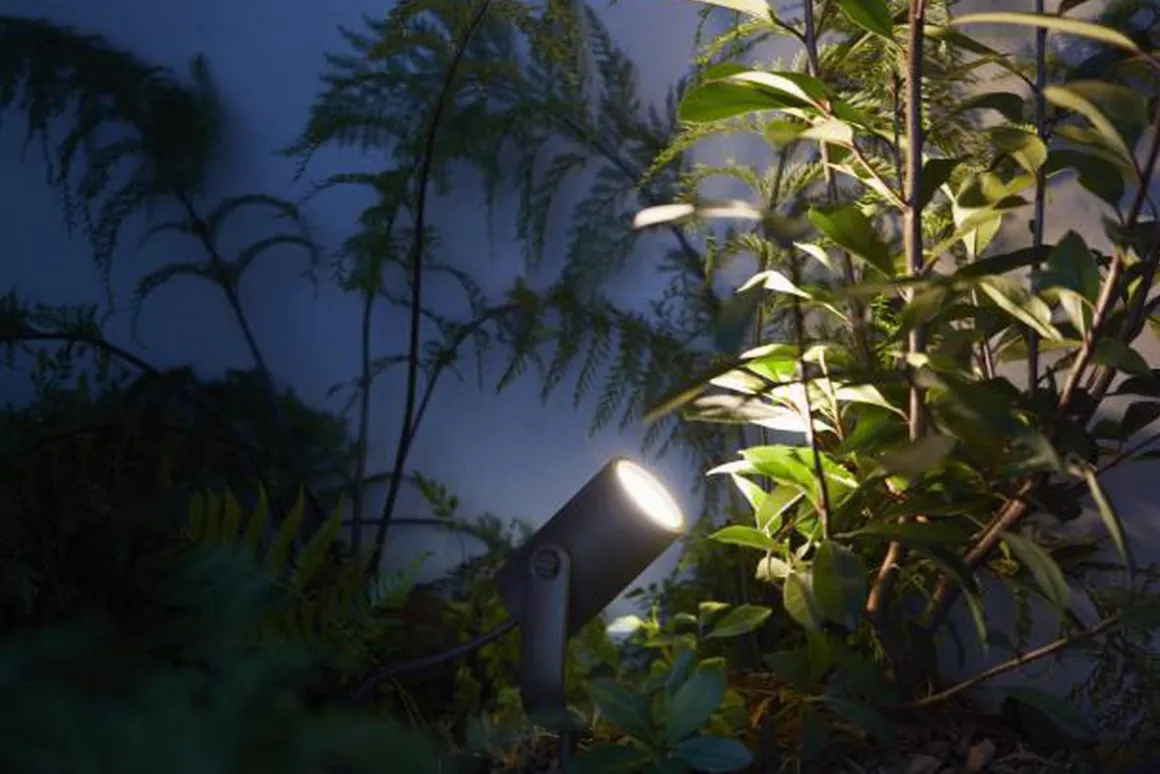 Philips Hue Outdoor Lily Spike 3x8W uplight basekit, antrasitt