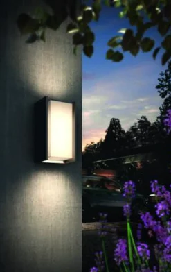 Philips Hue Outdoor Turaco vegglampe, antrasitt