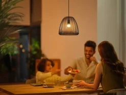 Philips Hue P45 E14 lyspære 5,1W 2200-6500K White Ambiance - 2 pakning