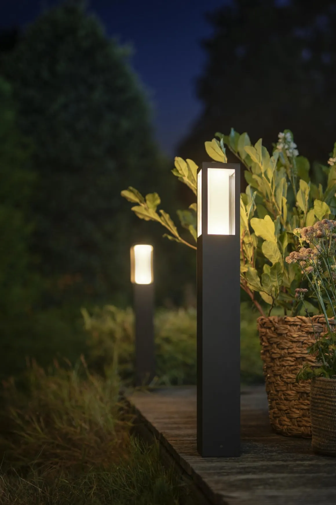 Philips Hue Post pullert white ambiance & color luminaires