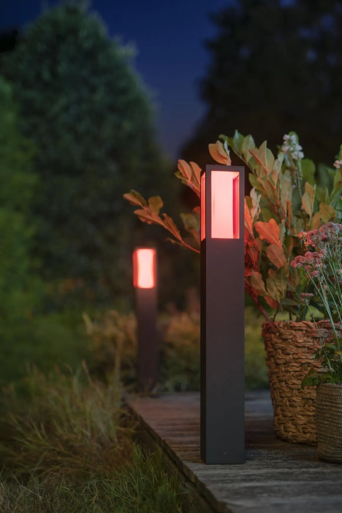 Philips Hue Post pullert white ambiance & color luminaires