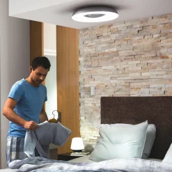 Philips Hue White Ambiance Still takplafond