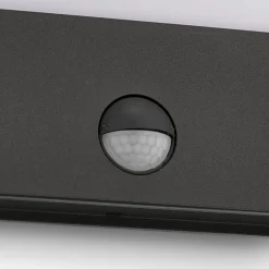 Philips myGarden Raccoon vegglampe utendørs 3W IP44 m/bevegelses sensor IR