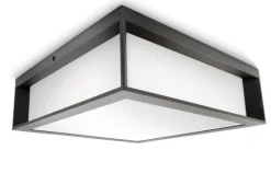 Philips Skies vegg/taklampe utendørs IP44 E27