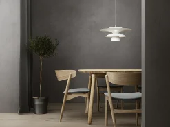 Picasso takpendel D500 G9