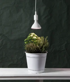 Plantelys rød 16W, LED