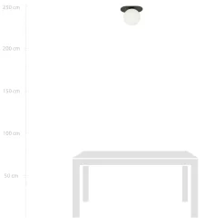 Plaza taklampe 1 lys - Svart/Opal