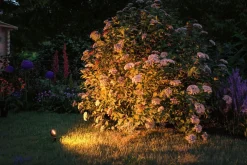 Plug & Shine Sting spot med spyd 6,4W 3000 Kelvin IP67