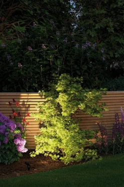 Plug & Shine Sting spot med spyd 6,4W 3000 Kelvin IP67