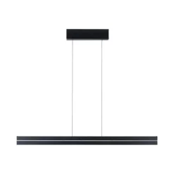 Raiko takpendel 19/6W 2700-6500 Kelvin RGB med fjernkontroll