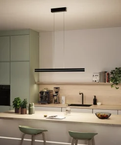 Raiko takpendel 19/6W 2700-6500 Kelvin RGB med fjernkontroll