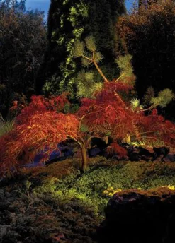 Rena 1551 uplight firkantet IP68 5,5W