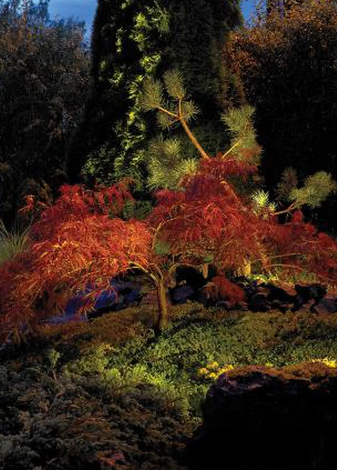 Rena 1555 uplight firkantet IP68 5,5W