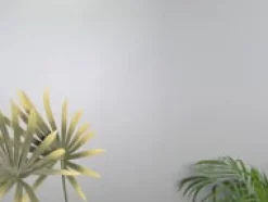 Solar taklampe 3 lys - Svart/Røykfarget