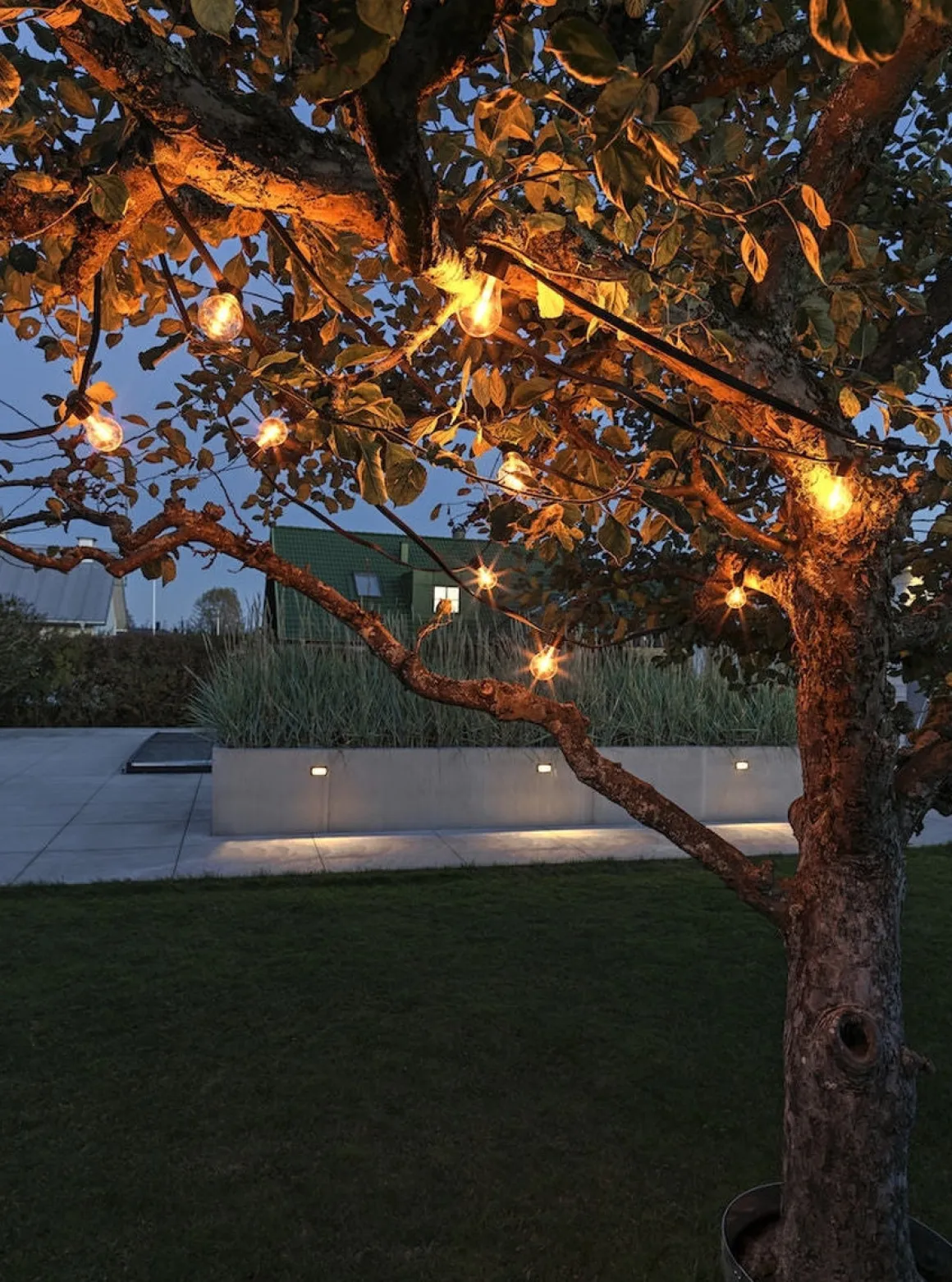 Startsett Lysslynge 10 lys med tykk ledning - Amber