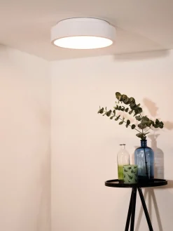 Talowe 30 cm taklampe 20W dimbar led