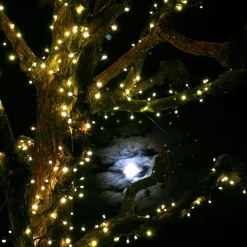 Utbygging Led slynge 50 lys 5,2 meter